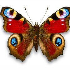 Схема вышивки «глаз 2»