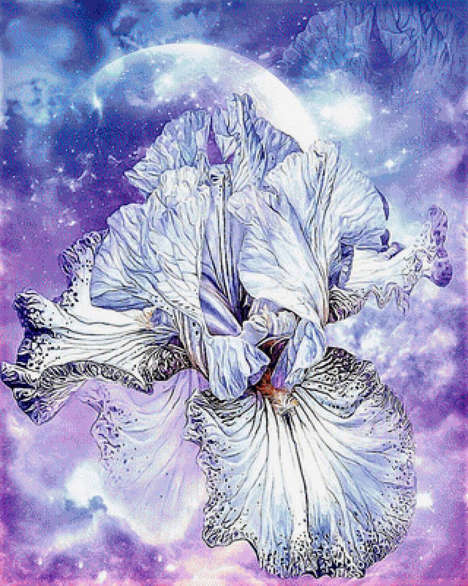 №1893999 - ирис - предпросмотр