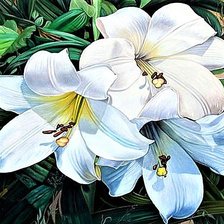 Схема вышивки «№1894230»