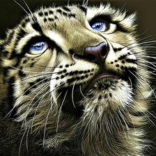 Схема вышивки «№1894236»