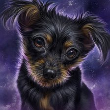 Схема вышивки «Собачка»