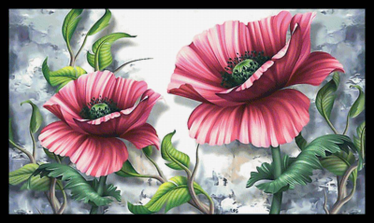 Серия "Маки". - цветы, маки, флора - предпросмотр