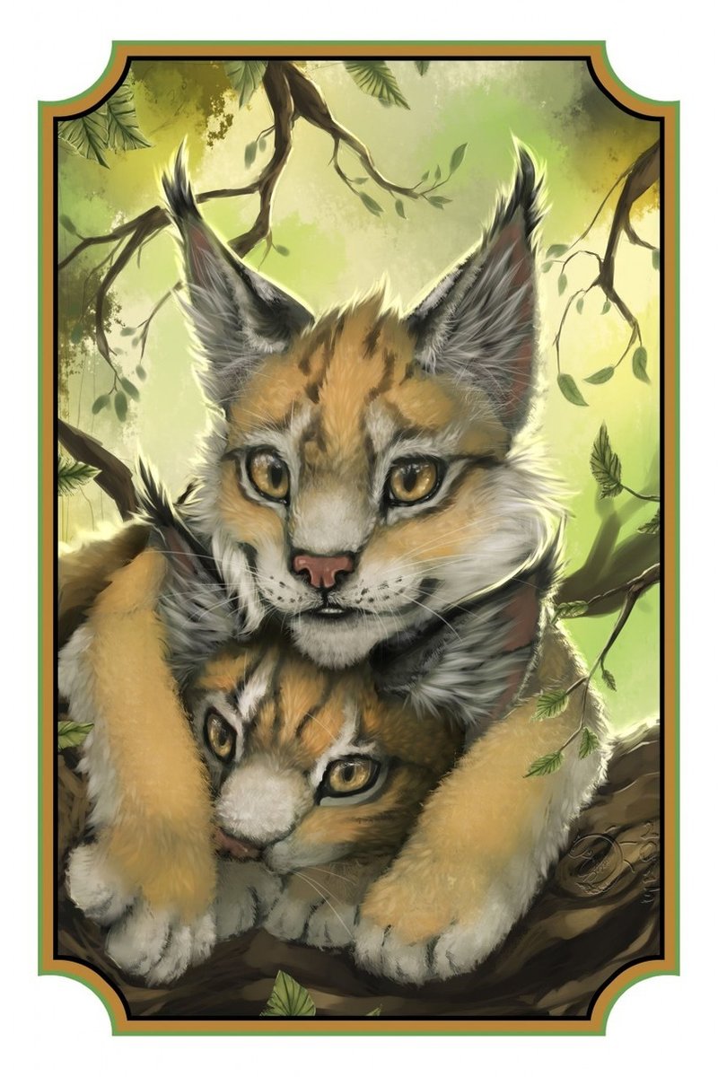 Рыси - рисунок, рыси, природа, животные, рысь - оригинал