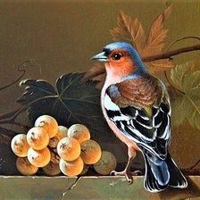 Схема вышивки «№1894427»