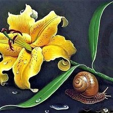 Схема вышивки «№1894806»