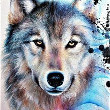 Схема вышивки «№1894820»