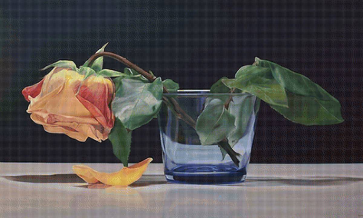 роза - предпросмотр