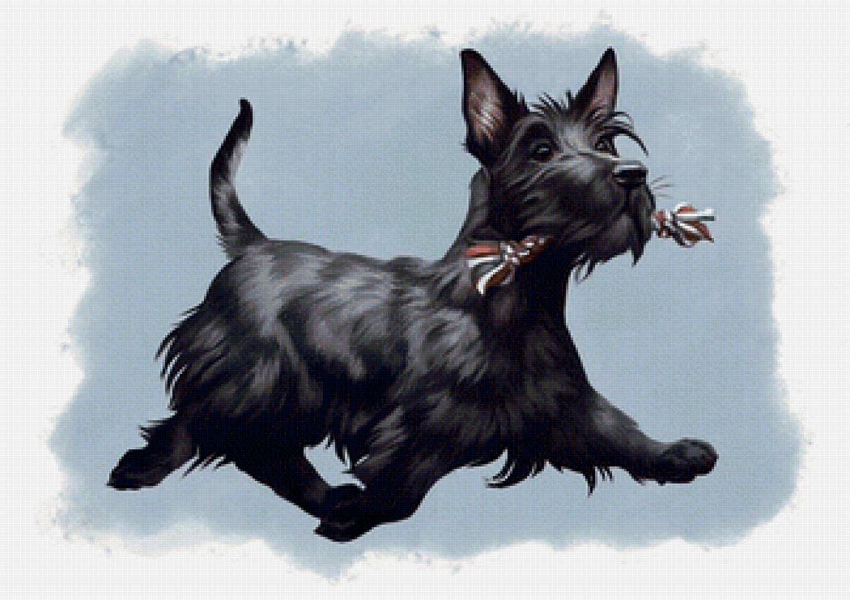 Собачка - собака, собачка, животные, рисунок - предпросмотр