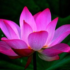 Схема вышивки «Цветок»