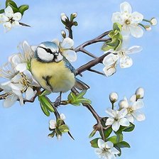 Схема вышивки «синица»