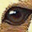 Предпросмотр схемы вышивки «медведь» (№1895105)
