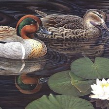 Схема вышивки «утки»