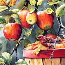 Схема вышивки «ЯБЛОЧКИ»