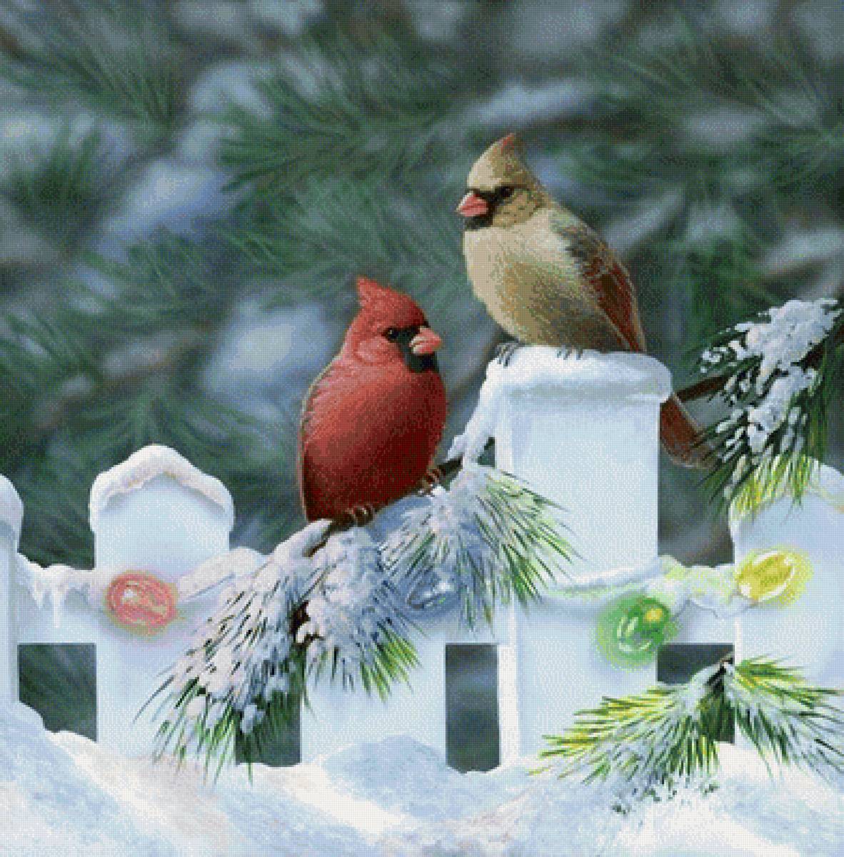 Птички - снег, птички, зима, рисунок, птицы - предпросмотр