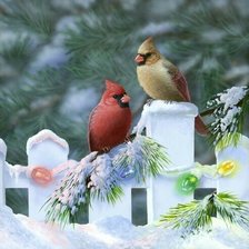 Схема вышивки «Птички»