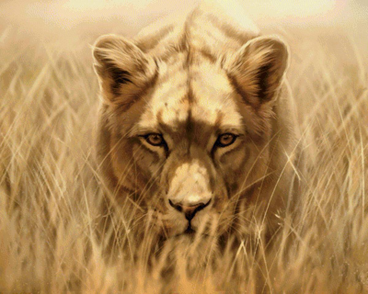 Львица - львица, рисунок, животные - предпросмотр