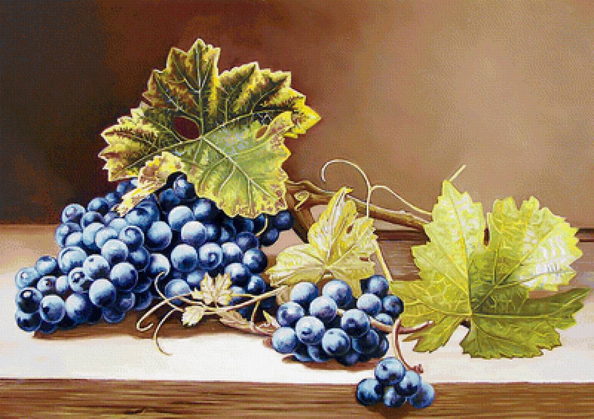 Серия "Виноград" - виноград, ягоды, фрукты - предпросмотр