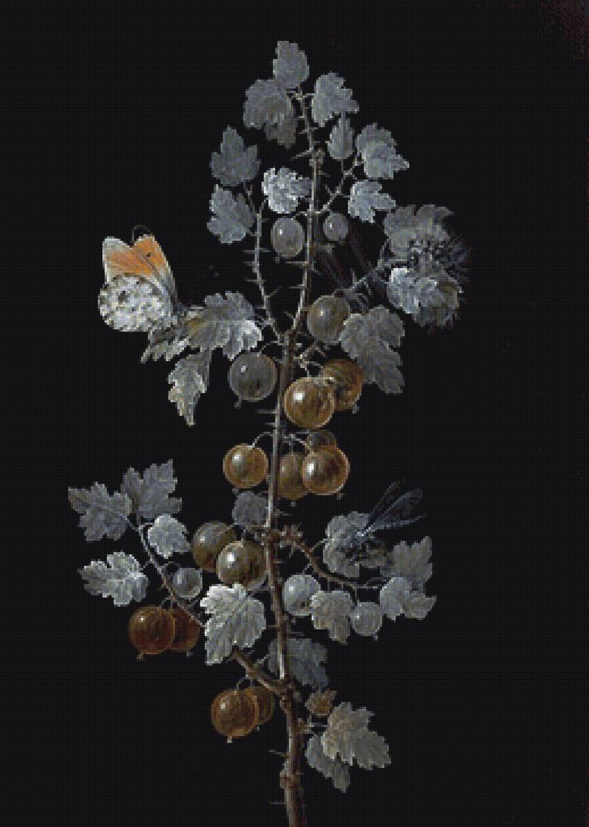 ветка и бабочка - предпросмотр