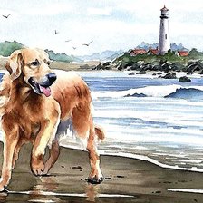 Схема вышивки «акварель»