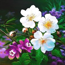 Схема вышивки «№1896107»