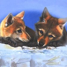 Схема вышивки «лисы»