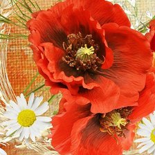 Схема вышивки «№1896421»