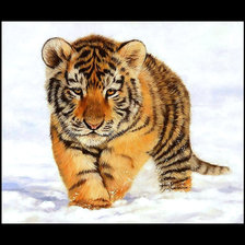 Схема вышивки «Серия "Хищники".»