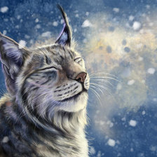 Схема вышивки «Рысь»