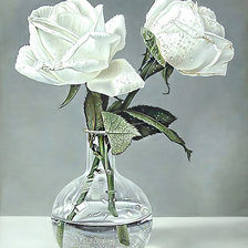 Схема вышивки «Серия "Розы".»