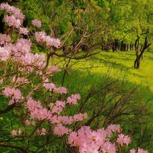 Схема вышивки «Пейзаж»