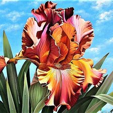 Схема вышивки «№1897092»