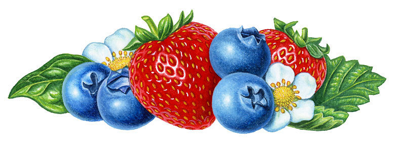 ЯГОДЫ - оригинал