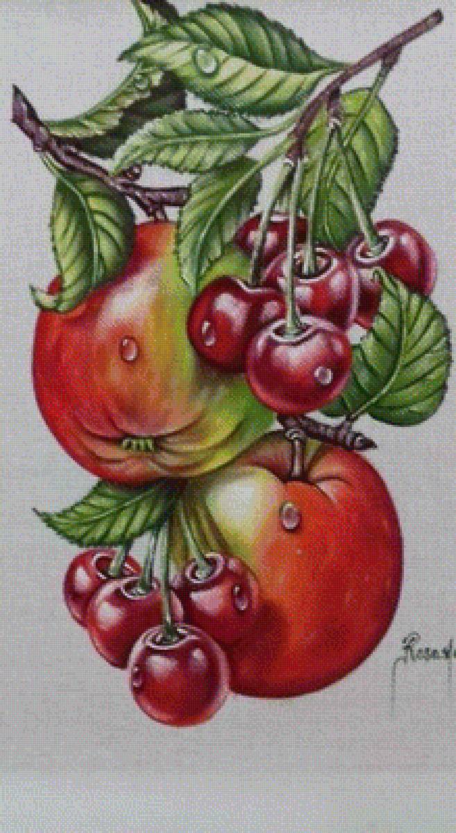 ovocie - предпросмотр