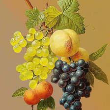 Схема вышивки «Натюрморт.»