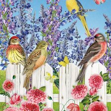 Схема вышивки «Яркие птички»