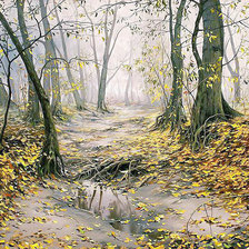 Схема вышивки «После дождя»