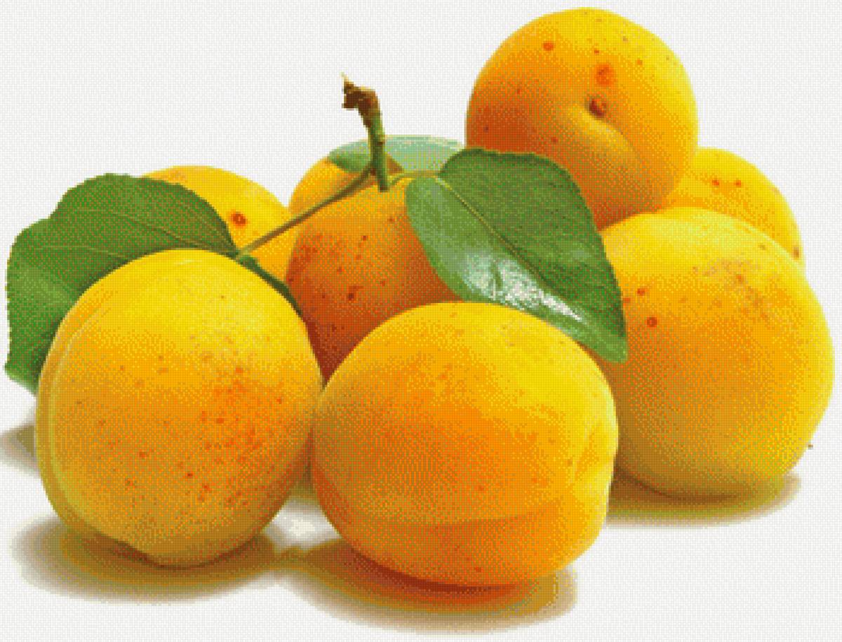 Абрикосы - абрикосы, фрукты - предпросмотр