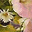 Предпросмотр схемы вышивки «натюрморт» (№1898121)