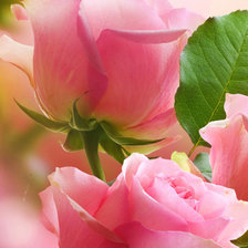 Схема вышивки «№1898167»