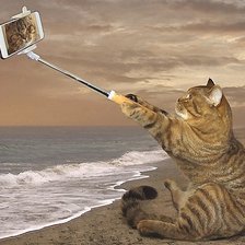 Схема вышивки «селфи»