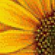 Предпросмотр схемы вышивки «Подсолнухи» (№1898454)