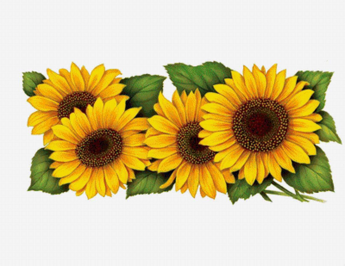 Подсолнухи - панелька, цветы - предпросмотр