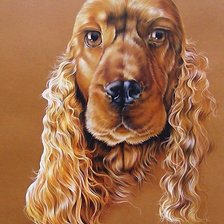 Схема вышивки «рисунок»