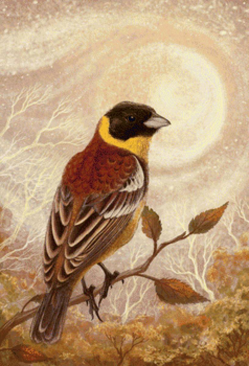 Птичка на ветке - рисунок, птица, птичка - предпросмотр