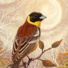 Схема вышивки «Птичка на ветке»