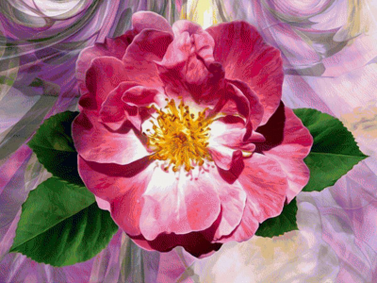 Шиповник - шиповник, цветок, цветы - предпросмотр