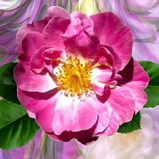 Схема вышивки «Шиповник»