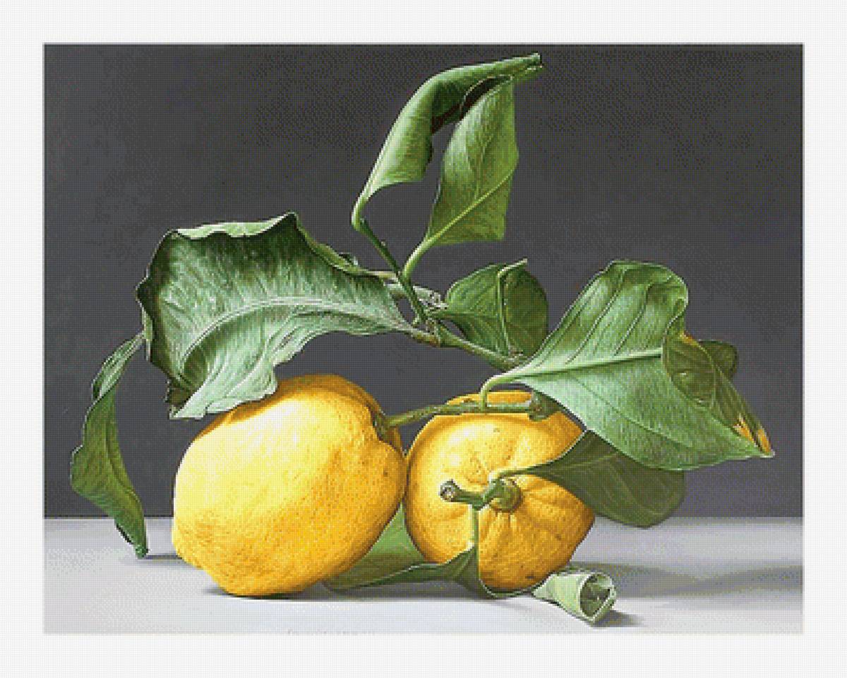 Серия "Фруктово-ягодная". Лимоны - лимоны, ягоды, фрукты - предпросмотр