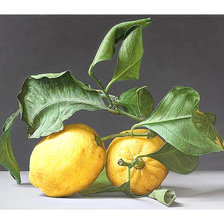 Схема вышивки «Серия "Фруктово-ягодная". Лимоны»