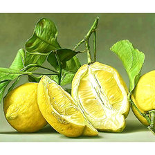 Схема вышивки «Серия "Фруктово-ягодная". Лимоны»